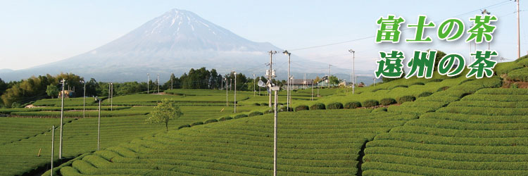 業務用お茶